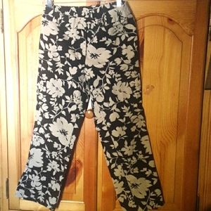 Newport News Jeanology Collection Jeans